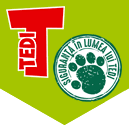 Tedi